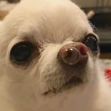♡